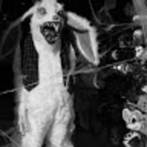 Meet your Posher, Isabella